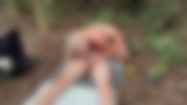 Preview van Little Dutch