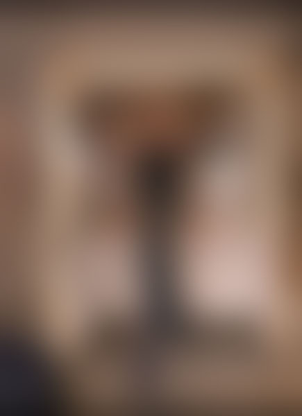 Preview van Nanoe Vaesen